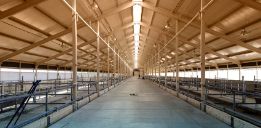 Buniyad - buy Industrial Shed in Greater Noida of 450.0 SqMt. in 36 Lac 5 